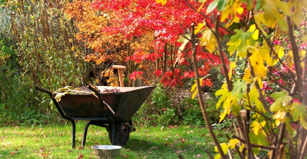 Start preparing fall garden plots now