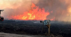 Fires in Kansas devastate ranches and lives