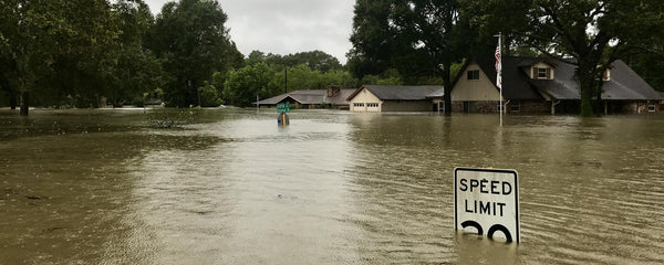 Flooding destroys thousands of acres of U.S. rice crop