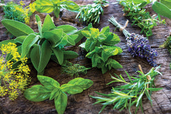 Herbs make for happy late season gardens