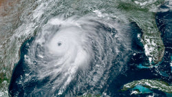 Hurricane Laura’s winds and rain damage crops