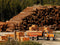 Record lumber prices not translating to timber increase
