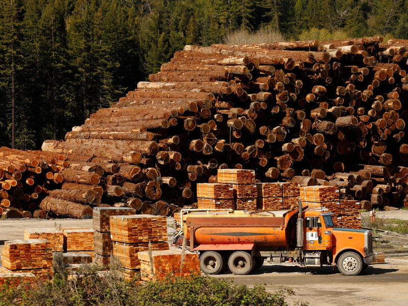 Record lumber prices not translating to timber increase