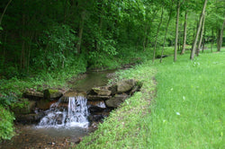 Winter Care for Stream Buffer Zones