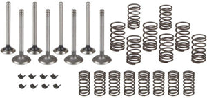 VALVE OVERHAUL KIT