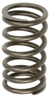 VALVE SPRING