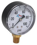 100 PSI DRY GAUGE  2-1/2" DIAMETER CASE