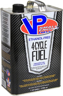 VP 4-CYCLE SMALL ENGINE FUEL - GALLON