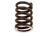 RADIATOR HOLD DOWN SPRING