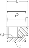 3/4 FEMALE OFS SWIVEL - CAP - STEEL