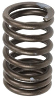 TISCO® Valve Spring for Ford, EAA6513A