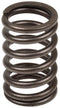 INTAKE AND EXHAUST VALVE SPRING