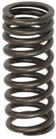 TISCO Valve Spring - with Solid Guides for Ford, 8N6513