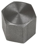 3/8 INCH X 3/8 INCH FNPT  GALVANIZED CAP