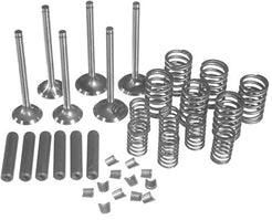 VALVE OVERHAUL KIT