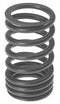 VALVE SPRING