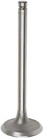 TISCO® Intake Valve for International, 366302R2