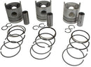 PISTON & RING KIT. CONTAINS .030" OVERSIZE PISTONS & RINGS