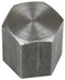 1/4 INCH X 1/4 INCH FNPT  GALVANIZED CAP