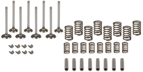 VALVE OVERHAUL KIT. CONTAINS INTAKE AND EXHAUST VALVES, SPRINGS, KEYS, AND GUIDES. - Quality Farm Supply