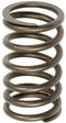 OUTER INTAKE AND EXHAUST VALVE SPRING - Quality Farm Supply