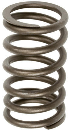 OUTER INTAKE AND EXHAUST VALVE SPRING - Quality Farm Supply