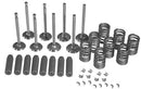 VALVE OVERHAUL KIT. CONTAINS INTAKE VALVE, EXHAUST VALVE, SPRINGS, GUIDES & KEEPERS (COMPLETE FOR 5 CYLINDERS) - Quality Farm Supply