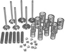 VALVE OVERHAUL KIT. CONTAINS INTAKE & EXHAUST VALVES, SPRINGS, KEYS, GUIDES. - Quality Farm Supply