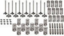 VALVE OVERHAUL KIT. CONTAINS INTAKE AND EXHAUST VALVES, SPRINGS, KEYS, AND GUIDES. - Quality Farm Supply