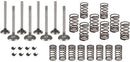 VALVE OVERHAUL KIT. CONTAINS INTAKE AND EXHAUST VALVES, SPRINGS, AND KEYS. - Quality Farm Supply